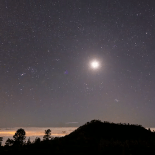 Screen Shot 2015-10-13 at 12.31.19 PM